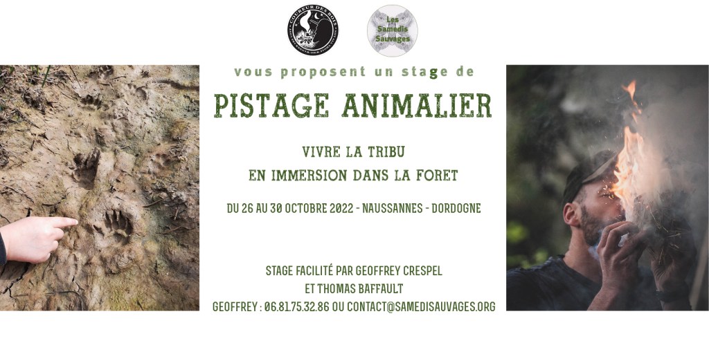 Cette image a un attribut alt vide ; le nom du fichier est entete_1-1.jpg